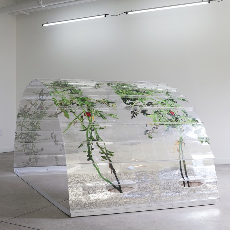 20150226 Alex Fischer 1 7 and 6000 O'Born Contemporary 36 VII (6000) documentation